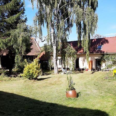 Gasthaus Le Domaine Des Anges Wavrans-sur-l'Aa Exterior foto