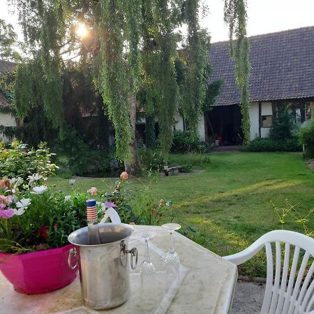 Gasthaus Le Domaine Des Anges Wavrans-sur-l'Aa Exterior foto