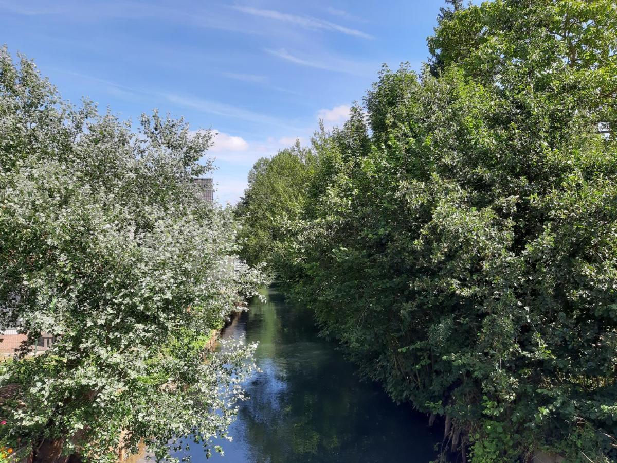 Gasthaus Le Domaine Des Anges Wavrans-sur-l'Aa Exterior foto