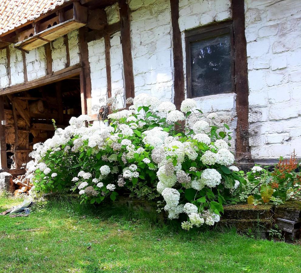 Gasthaus Le Domaine Des Anges Wavrans-sur-l'Aa Exterior foto