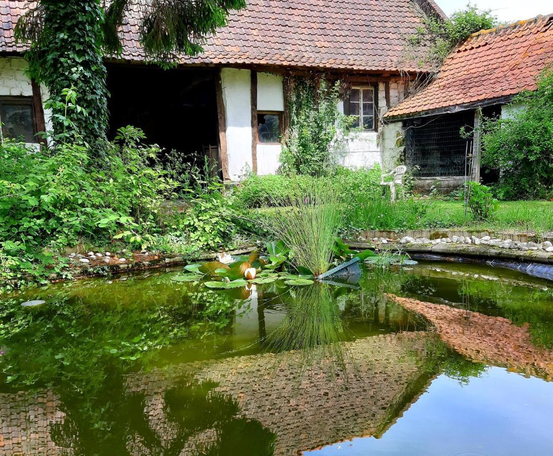 Gasthaus Le Domaine Des Anges Wavrans-sur-l'Aa Exterior foto