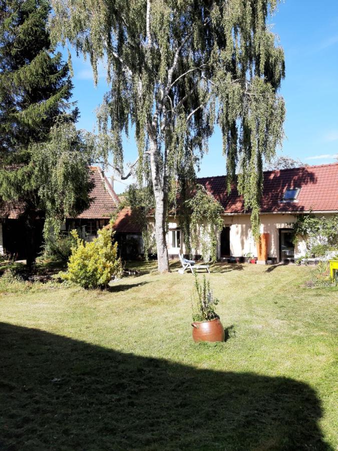 Gasthaus Le Domaine Des Anges Wavrans-sur-l'Aa Exterior foto